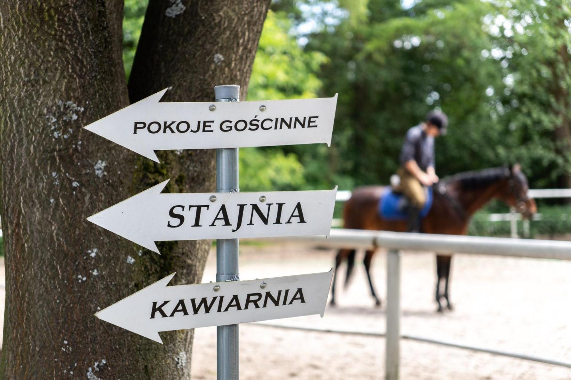 Apartamenty W Dworku Cheval クラクフ エクステリア 写真
